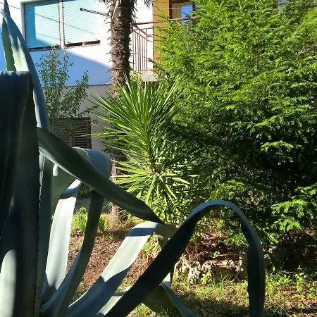 Old Agava ゲストハウス