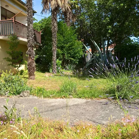 Guest house Old Agava